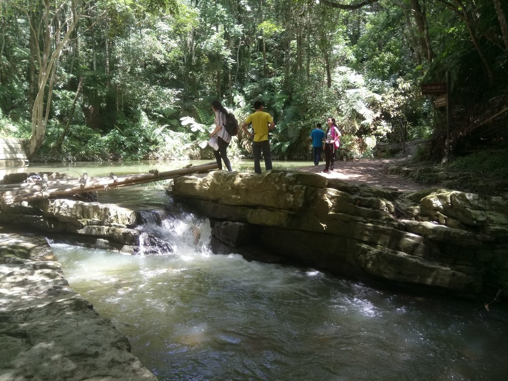 DSC_2632.JPG - 魚池  澀水森林步道  水上瀑布