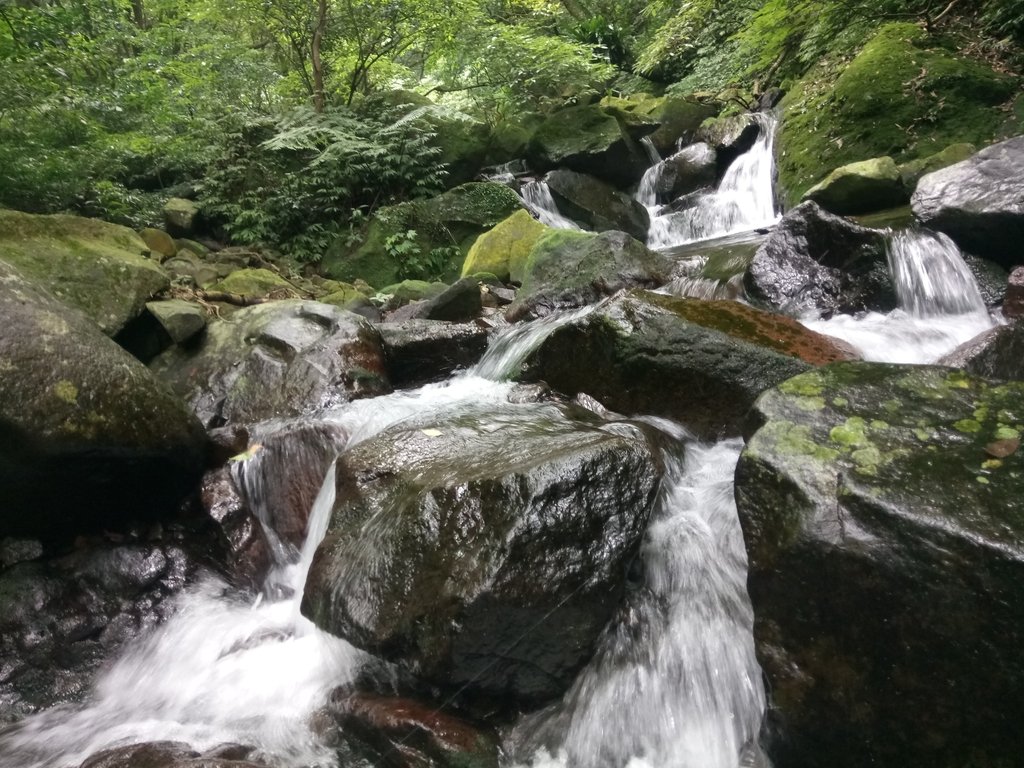 DSC_0729.JPG - 三芝  大屯溪古道