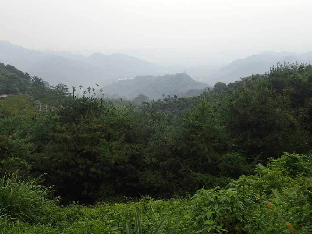 PA171430.JPG - 鹿谷  麒麟潭之  雨中即景