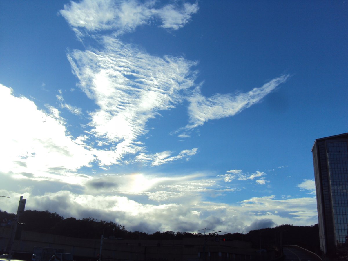 DSC02105.JPG - 藍天白雲之  台北101周邊