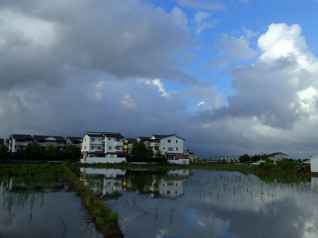 PA104165.JPG - 壯圍  竹安  水田雲影