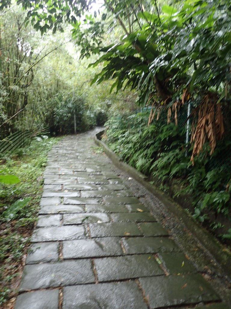 P1062026.JPG - 土城  天上山  登山步道