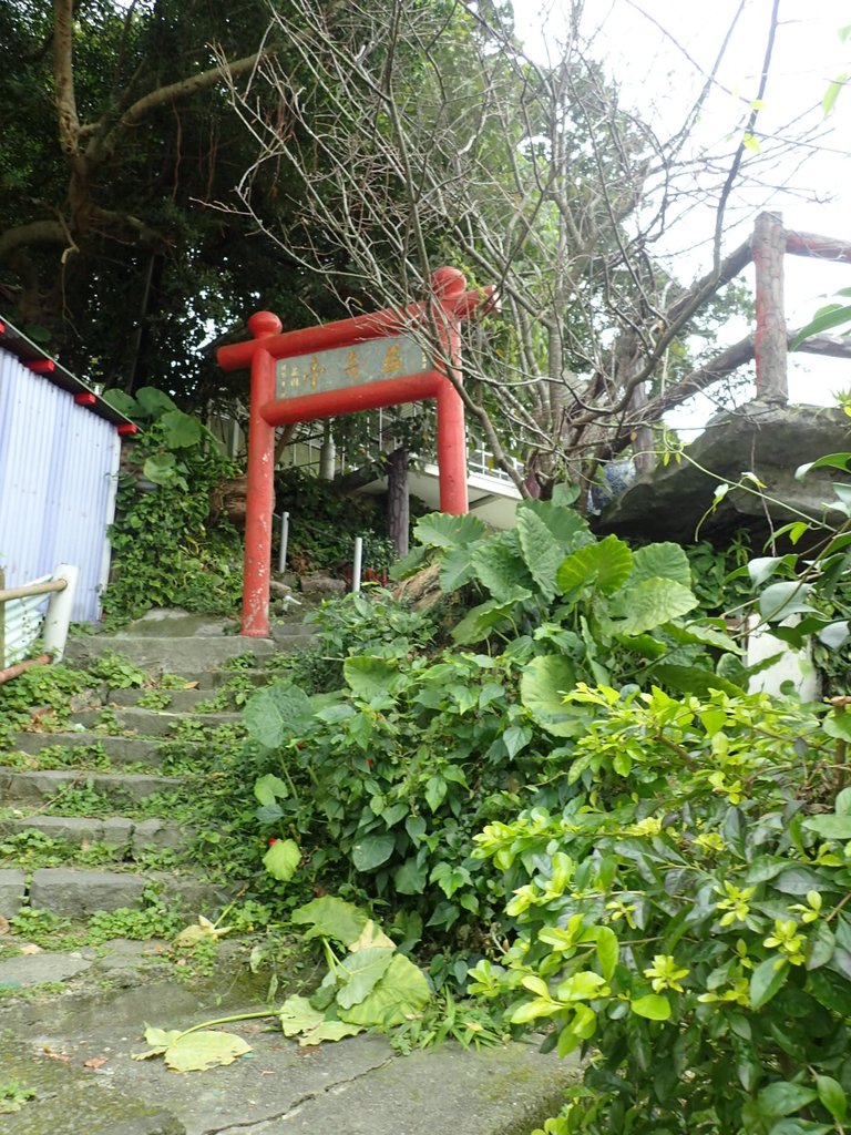 P1122650.JPG - 大直圓山風景區  劍潭山