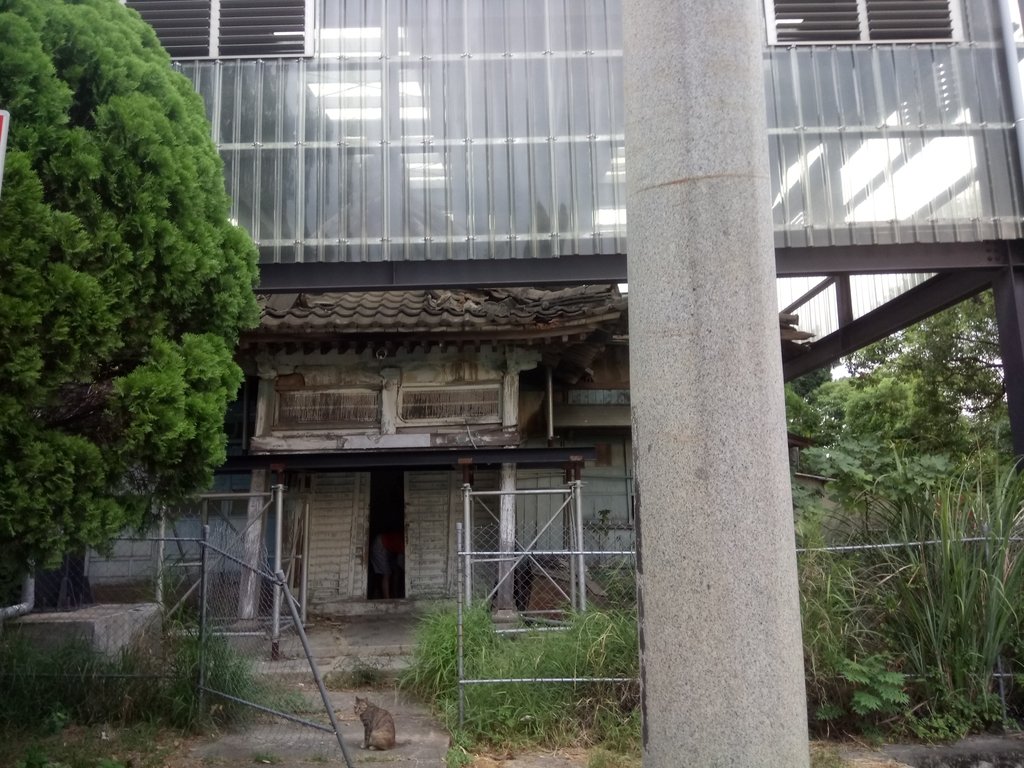 DSC_4436.JPG - 再訪  通宵神社