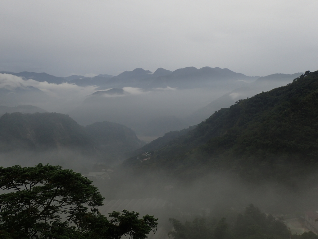 PA231911.JPG - 石壁途中之   茶山雲雨