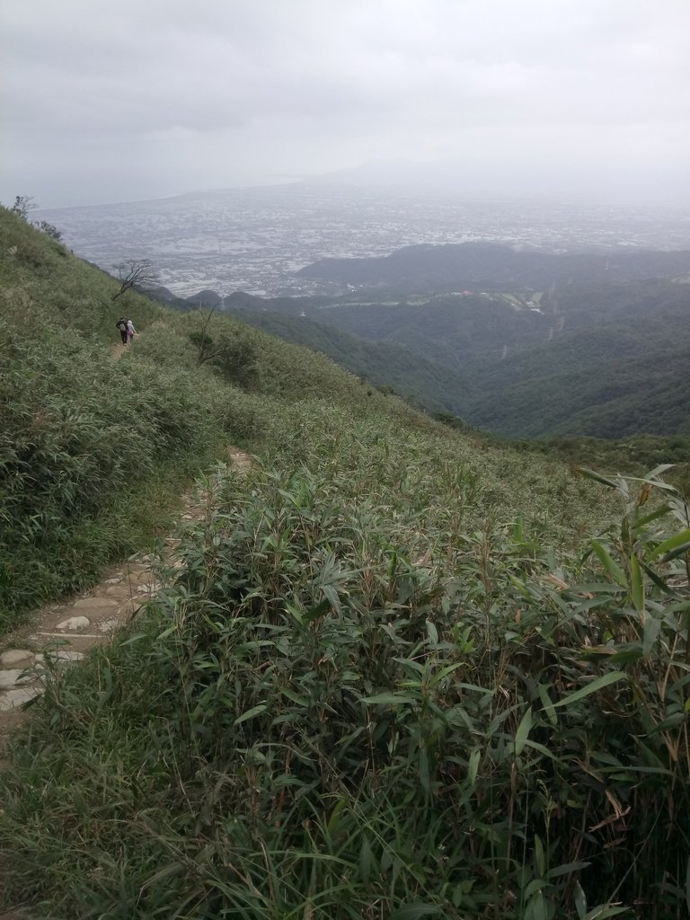 DSC_2806.JPG - 礁溪  聖母登山步道  (抹茶山)