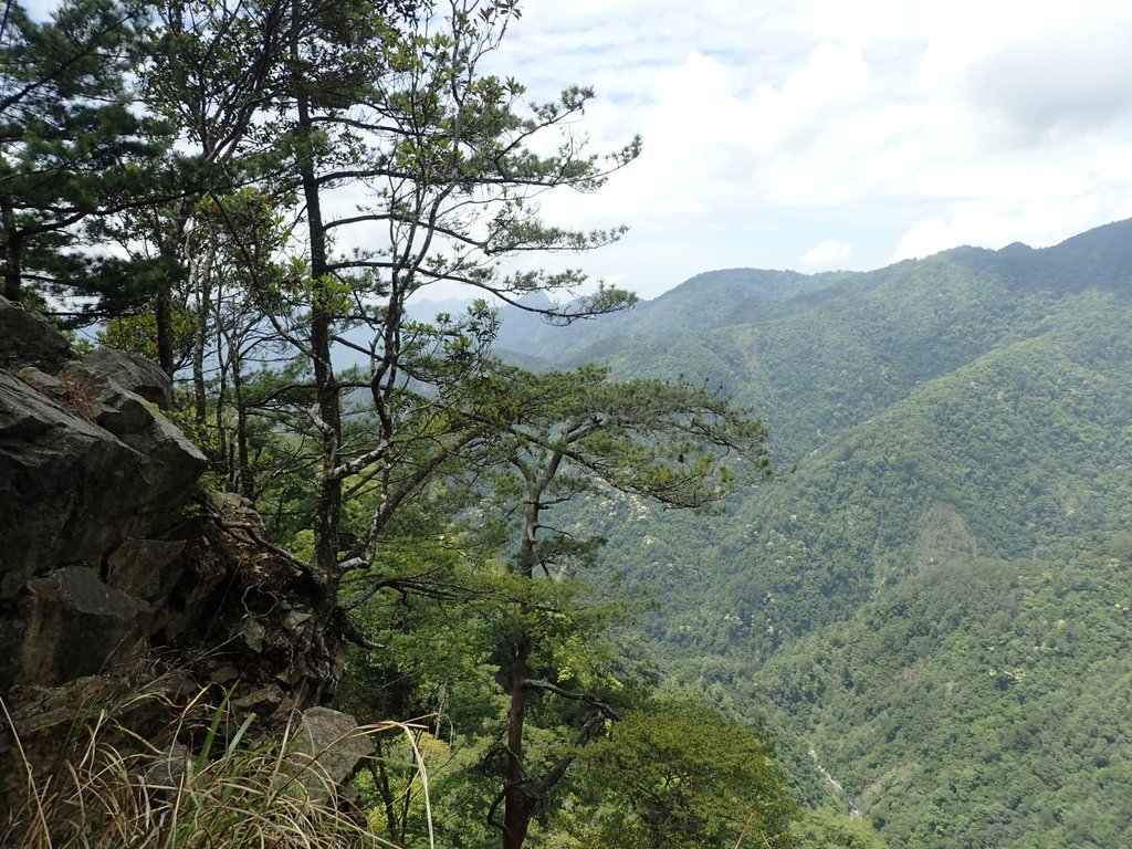 P5012346.JPG - 谷關七雄之  波津加山