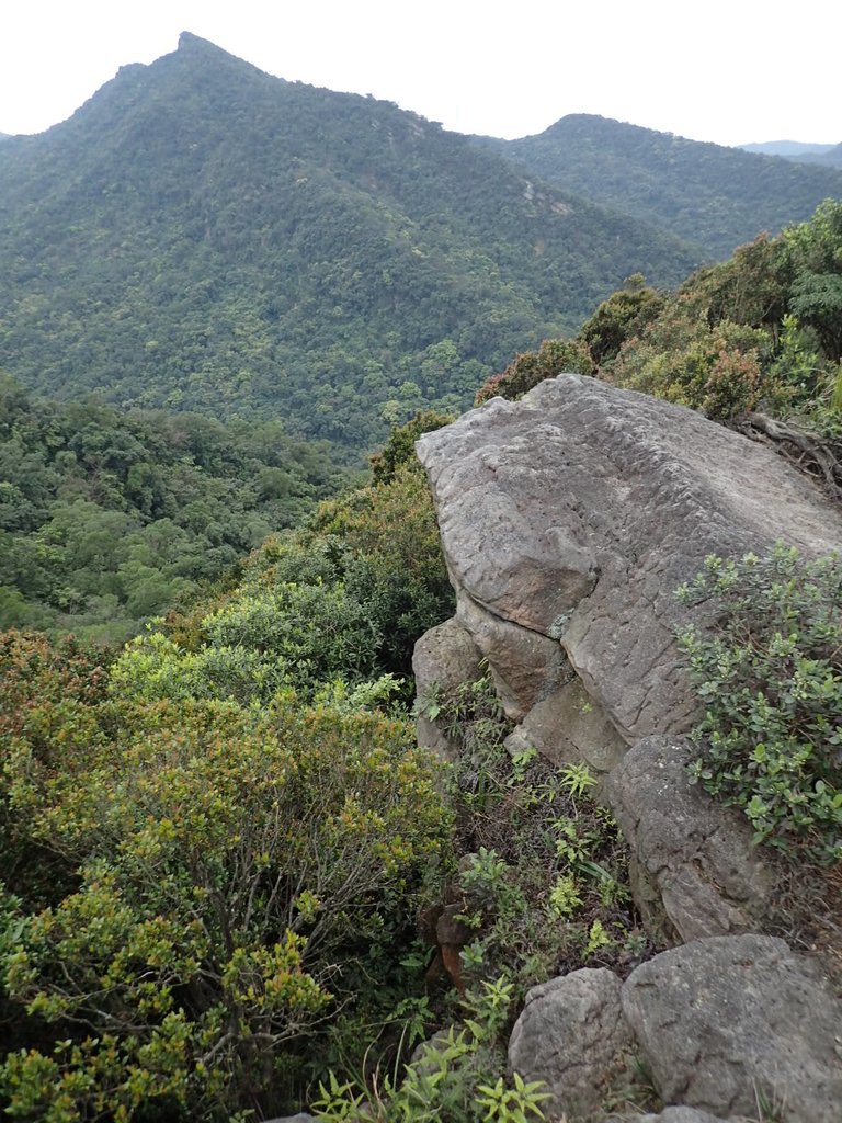 P3160141.JPG - 汐止  金面山(金明山)  稜線步道