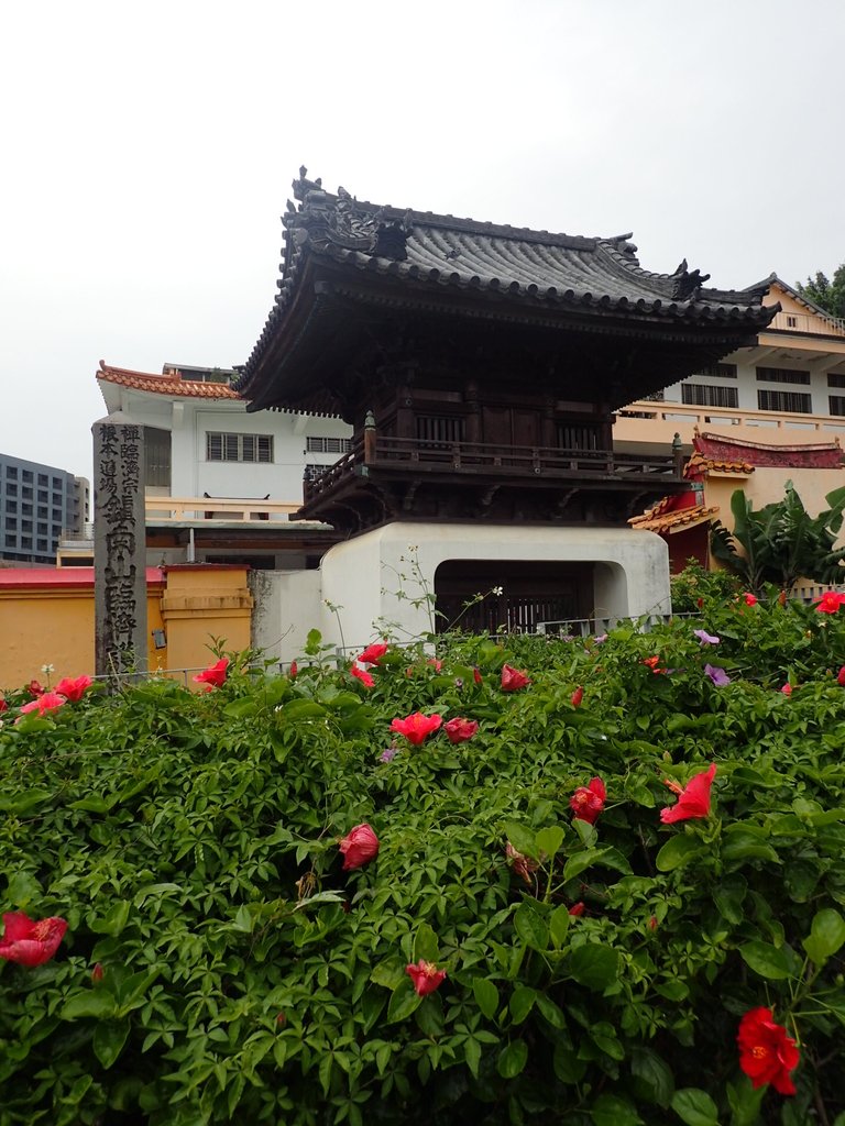 P3116870.JPG - 再探---  臨濟護國禪寺