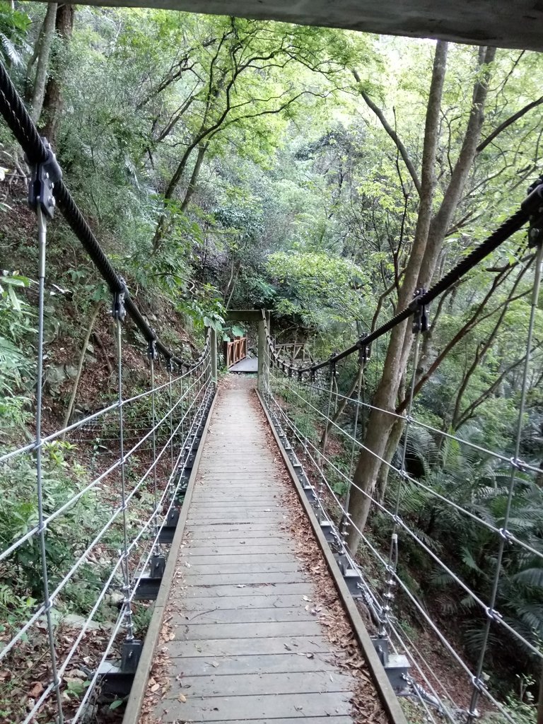 DSC_9836.JPG - 谷關  德芙蘭步道