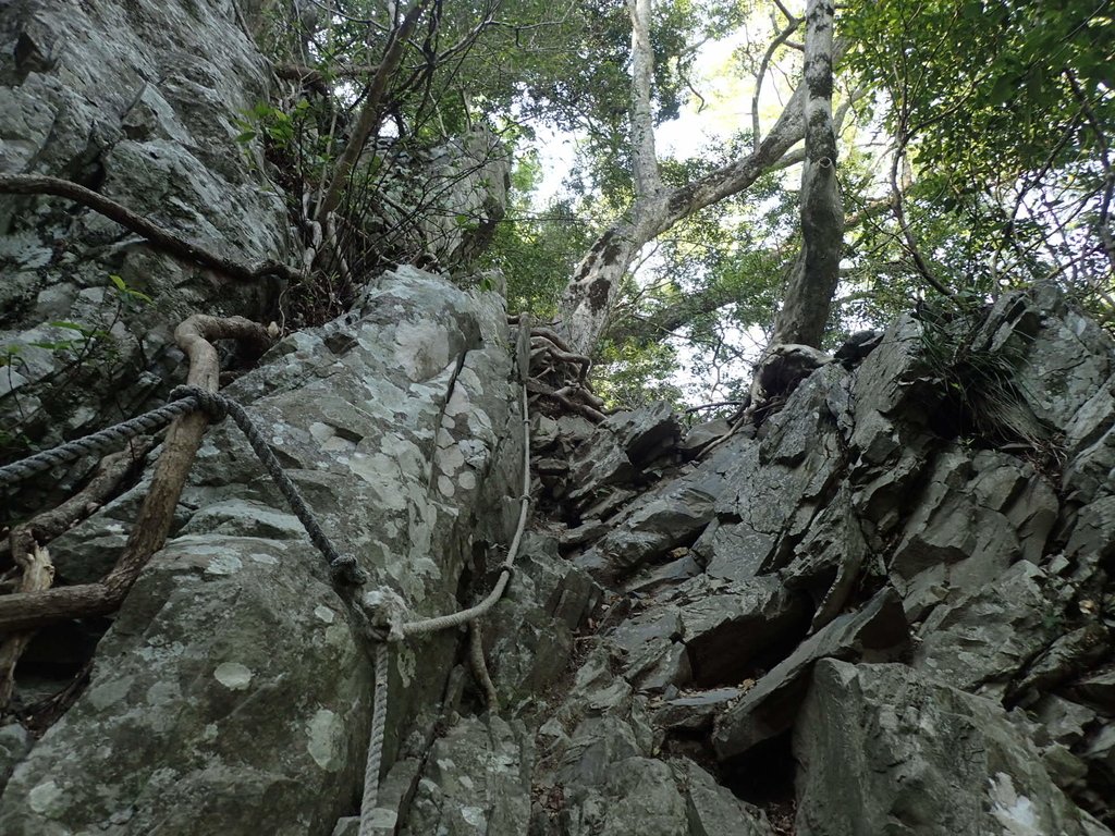 P3167349.JPG - 谷關七雄之  屋我尾山