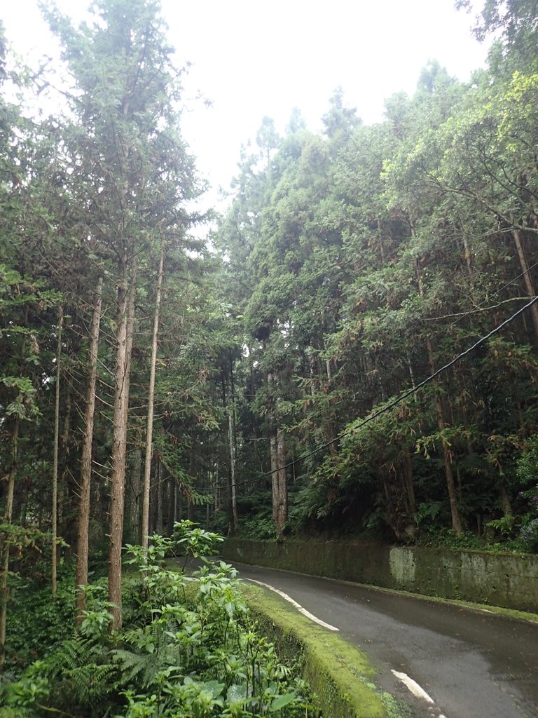 P9250143.JPG - 南庄  向天湖山  光天高山