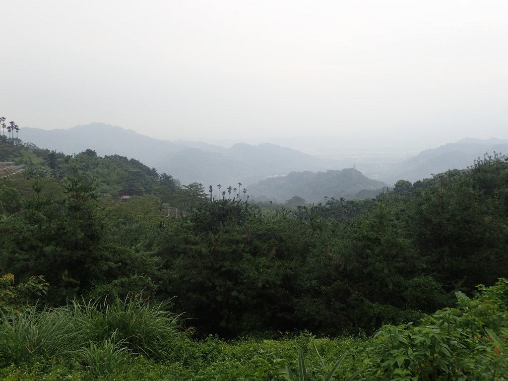 PA171433.JPG - 鹿谷  麒麟潭之  雨中即景