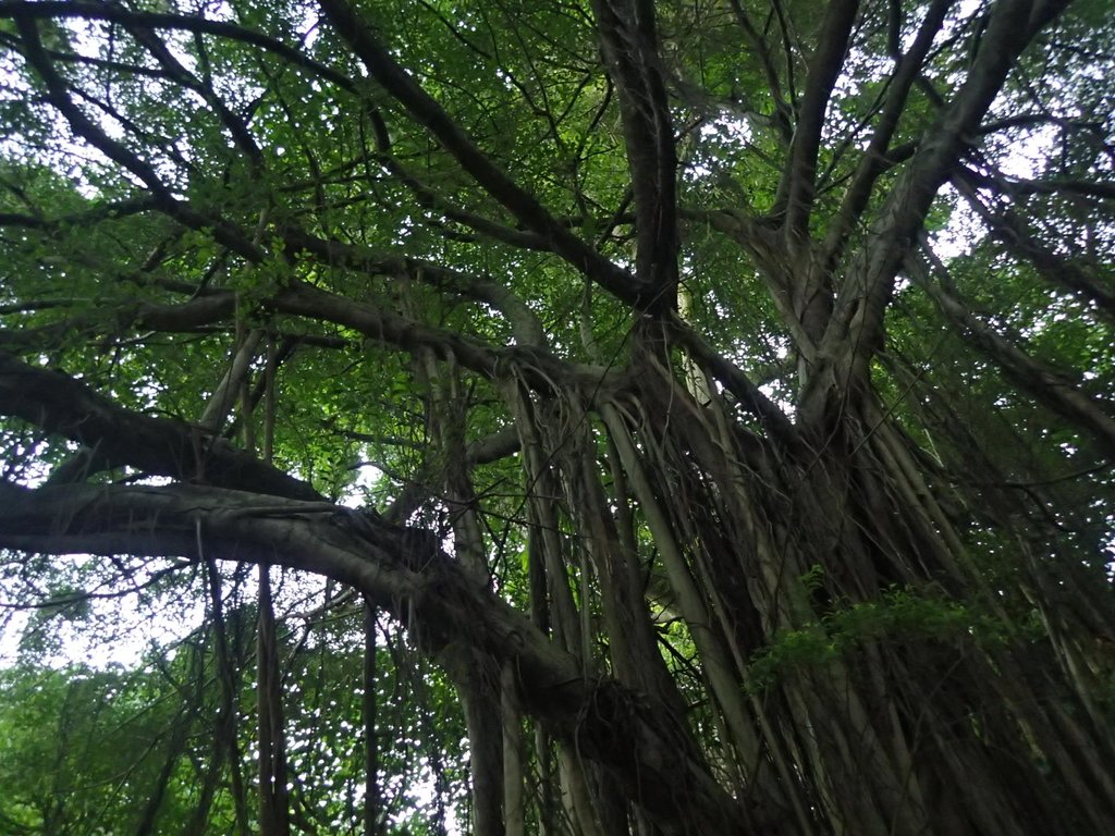 PC018122.JPG - 大直  正願禪寺