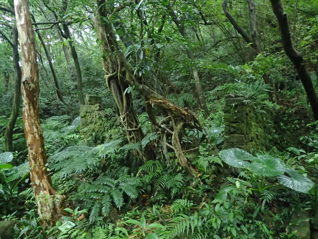 P9157914.JPG - 淡蘭古道  暖東舊路