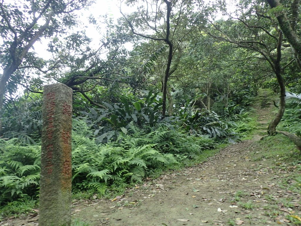 P4143533.JPG - 基隆  五坑山  總督嶺步道