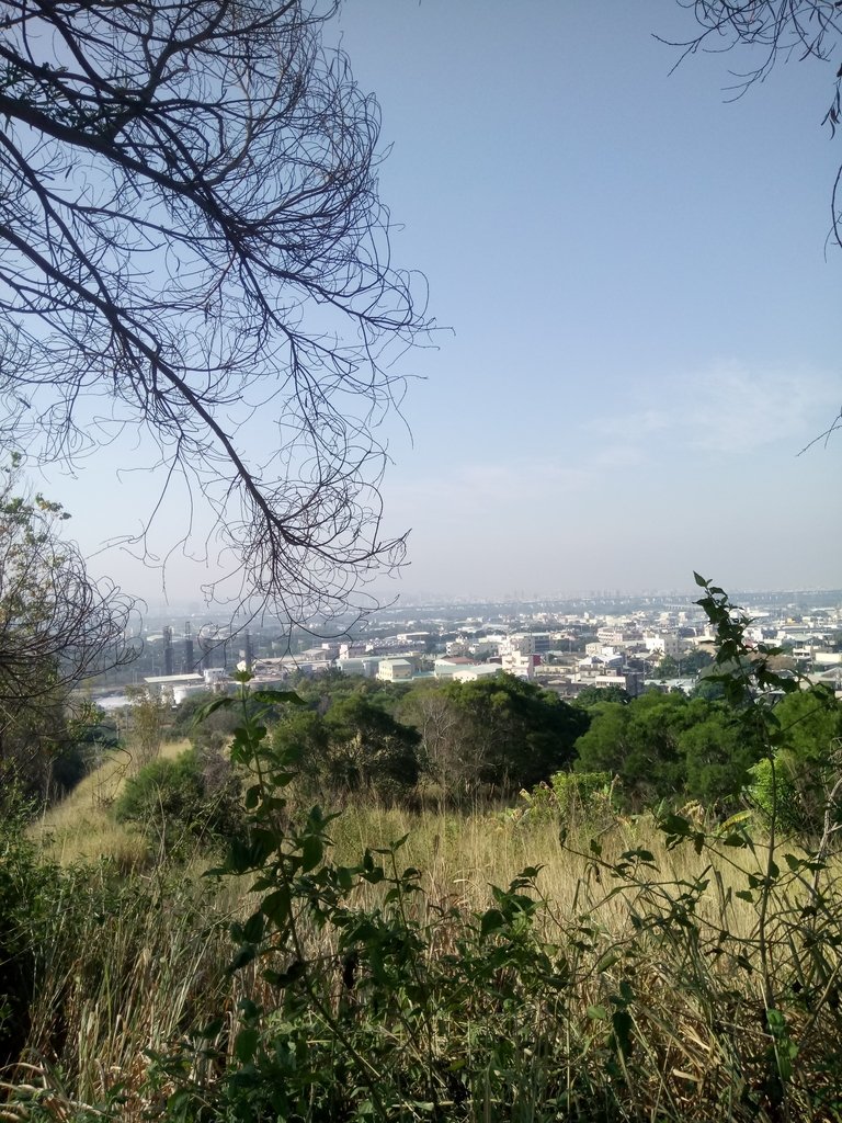 DSC_1798.JPG - 烏日  學田山登山步道