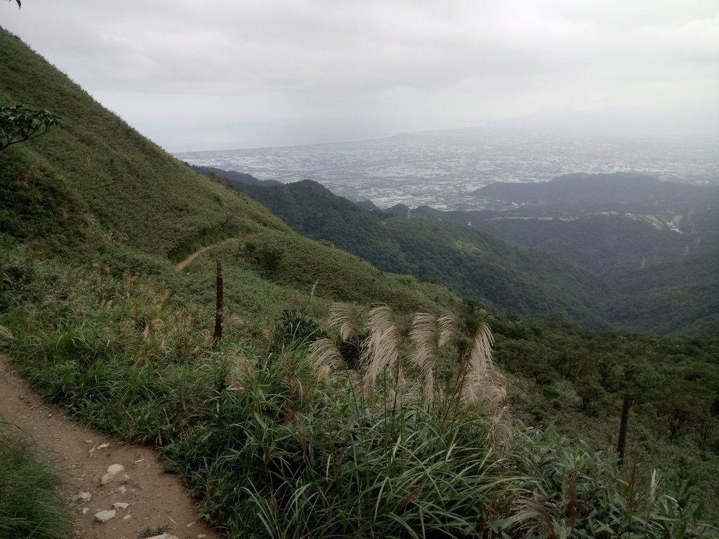 DSC_2808.JPG - 礁溪  聖母登山步道  (抹茶山)