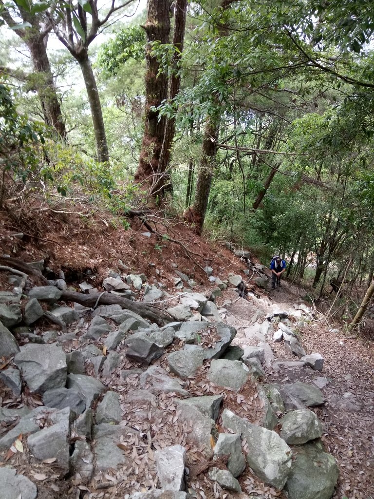 DSC_6482.JPG - 谷關七雄之  波津加山