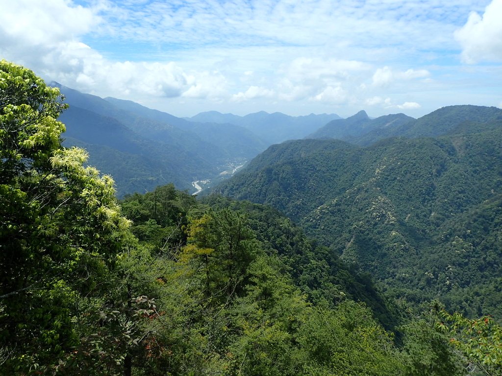 P5012350.JPG - 谷關七雄之  波津加山