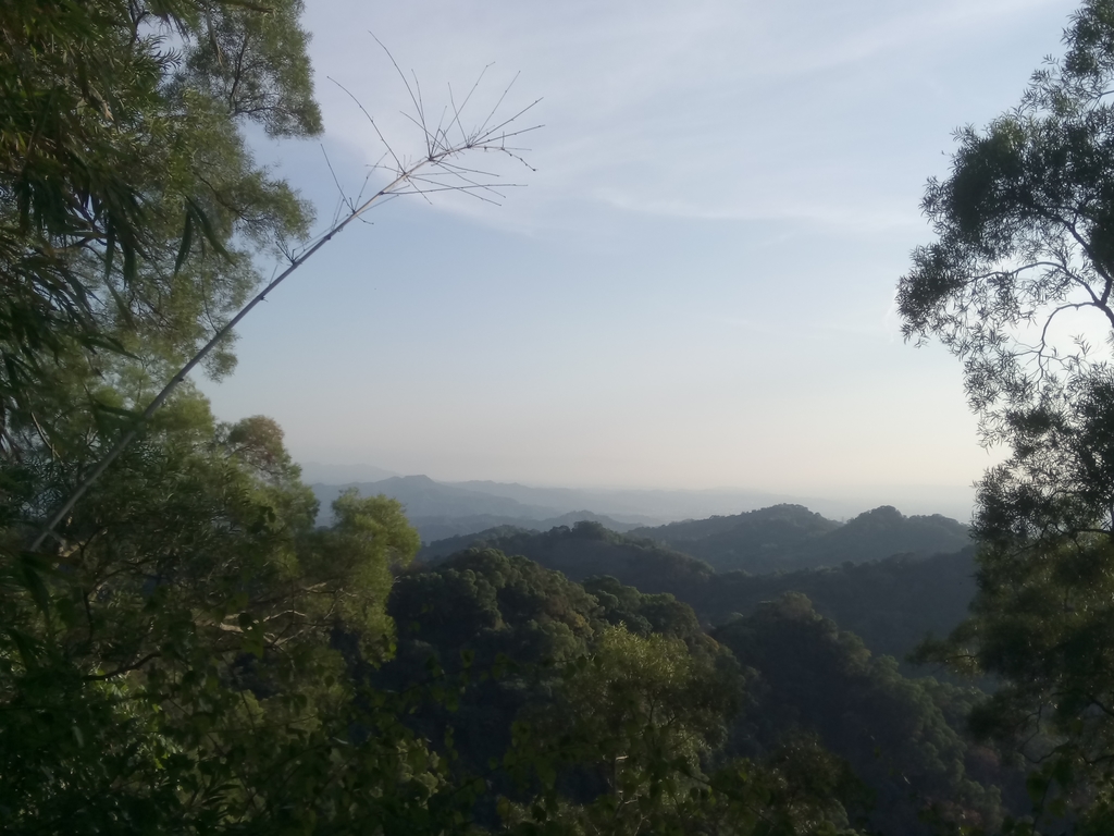 DSC_0702.JPG - 潭子 聚興山  新田登山步道