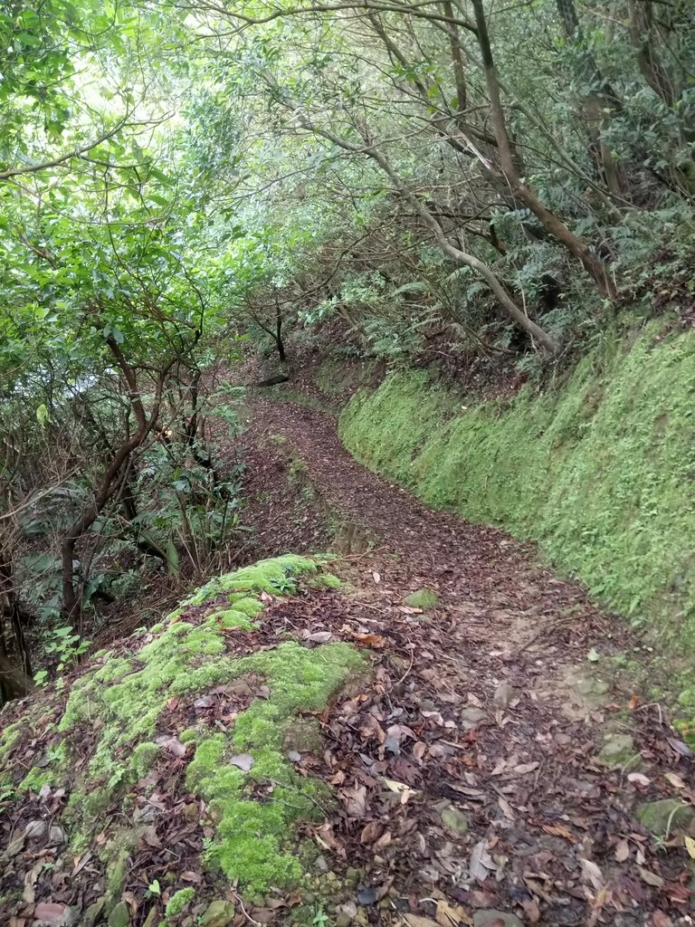 DSC_9443.JPG - 瑞芳  雞籠山登山步道