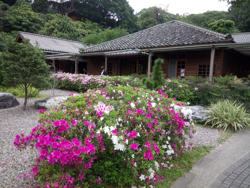 DSC_9212.JPG - 花博公園  蜀葵花季