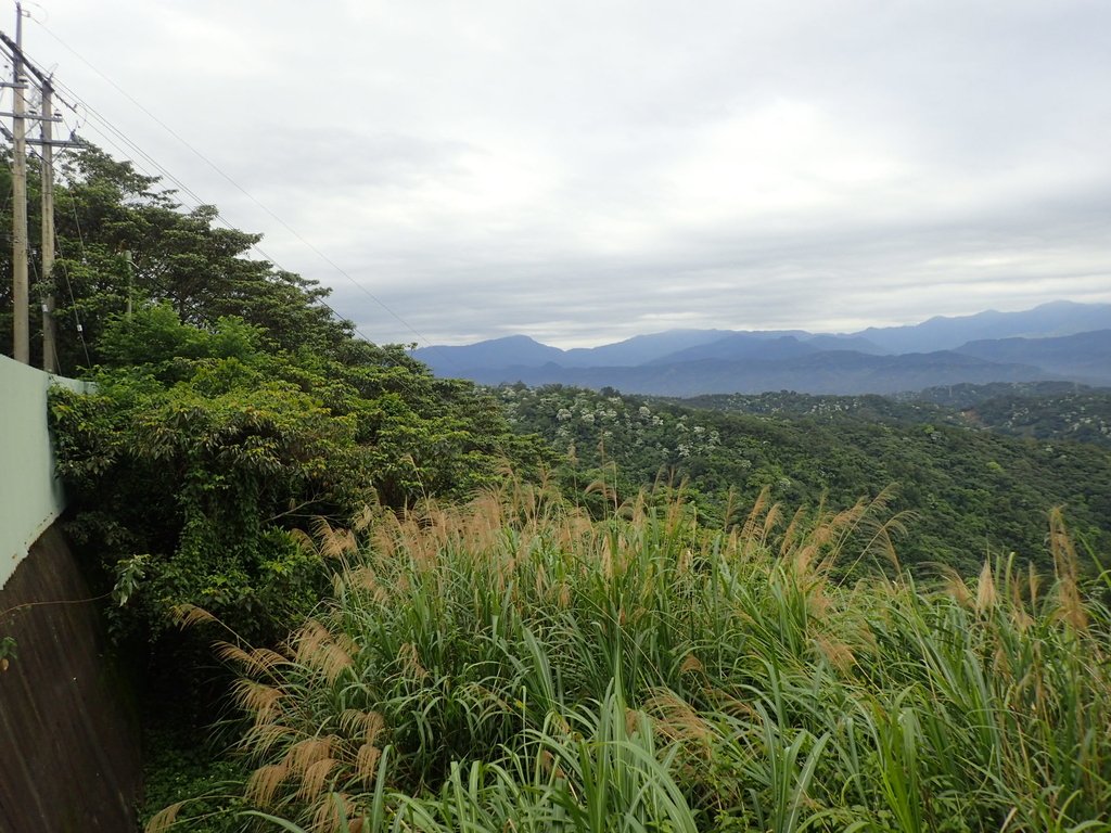 P4272143.JPG - 芎林  飛鳳山  (中坑山)