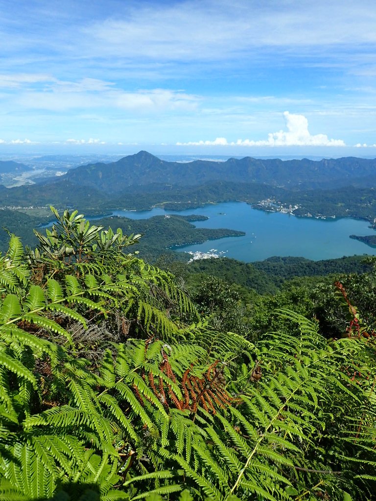 P7105167.JPG - 魚池  水社大山