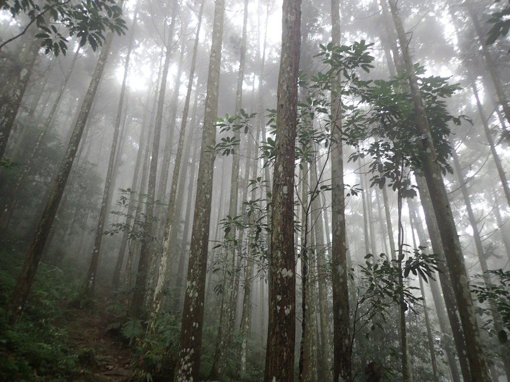 P9250148.JPG - 南庄  向天湖山  光天高山