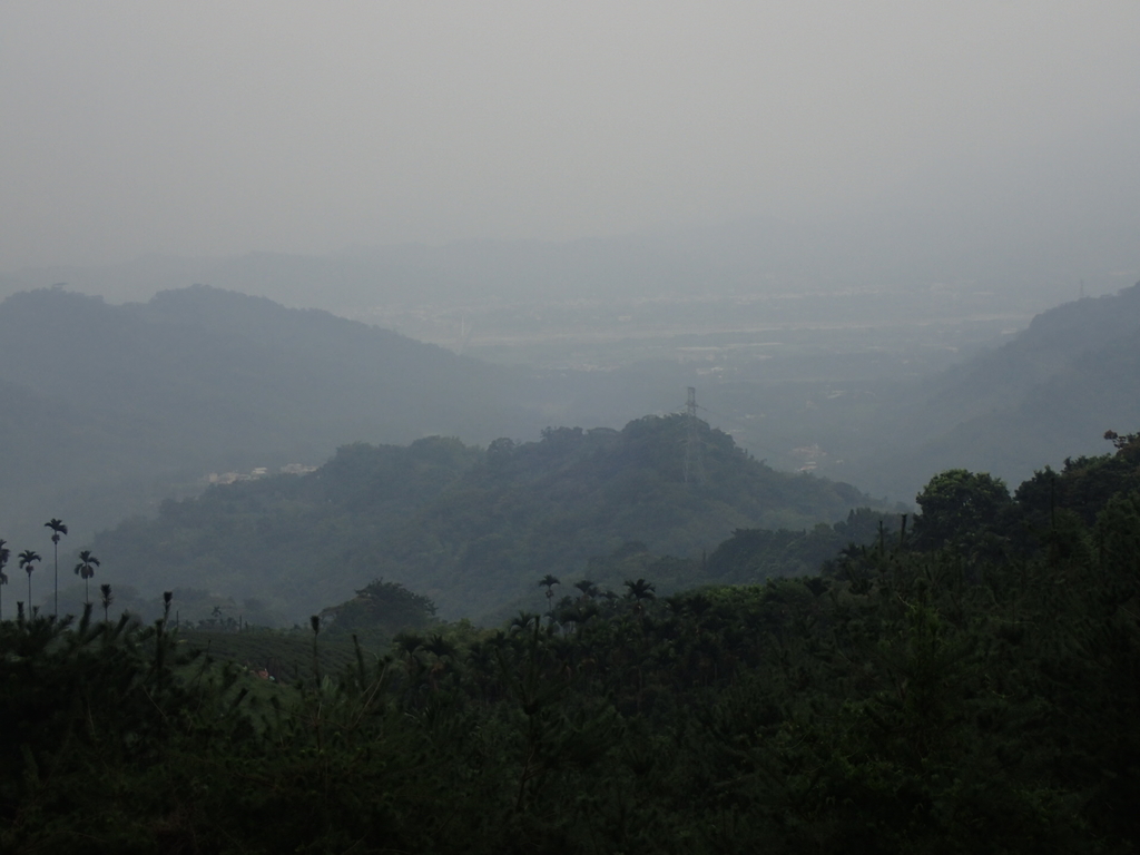 PA171435.JPG - 鹿谷  麒麟潭之  雨中即景