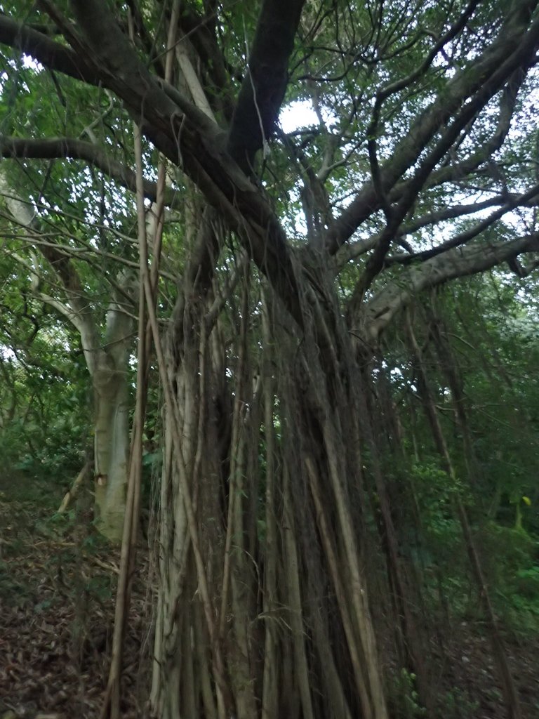 PC018125.JPG - 大直  正願禪寺