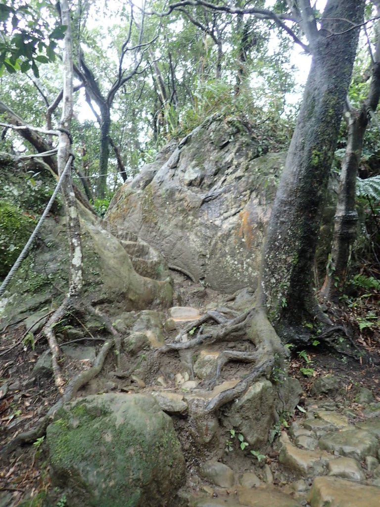 P1062051.JPG - 土城  天上山  登山步道