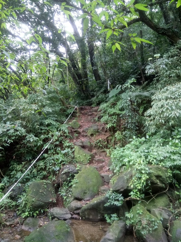 DSC_3559.JPG - 瑞芳  燦光寮古道初探