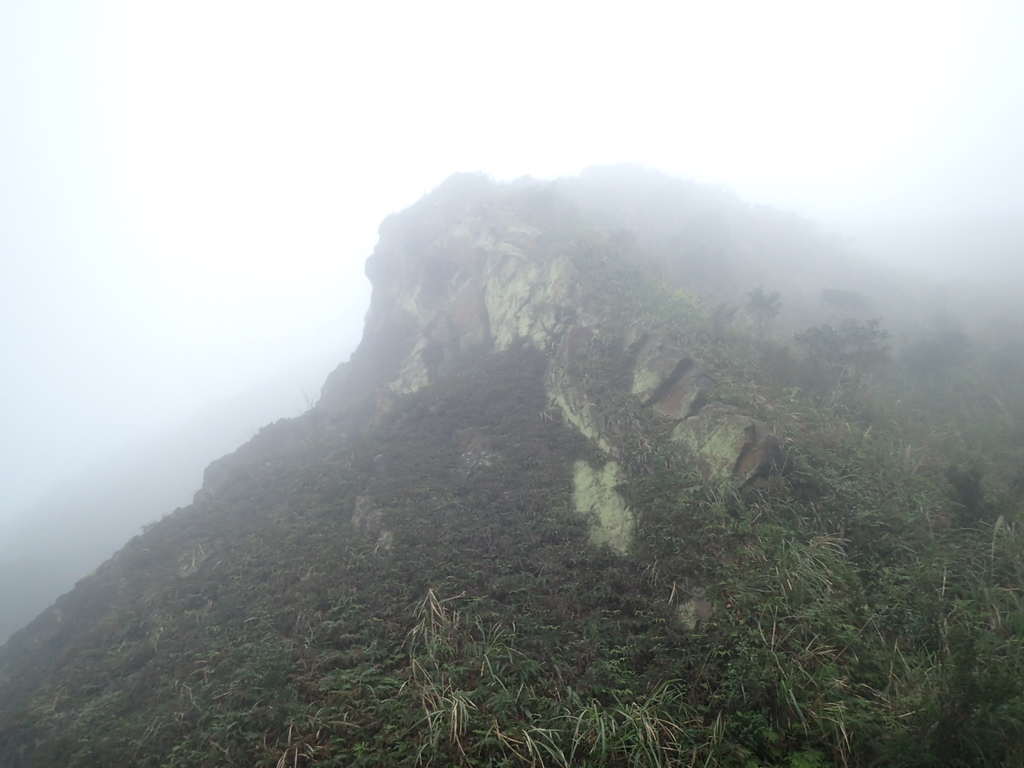 P1203413.JPG - 瑞芳  牡丹山