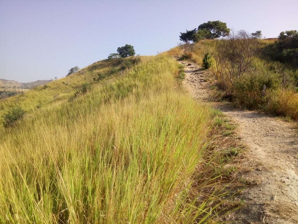 DSC_1805.JPG - 烏日  學田山登山步道