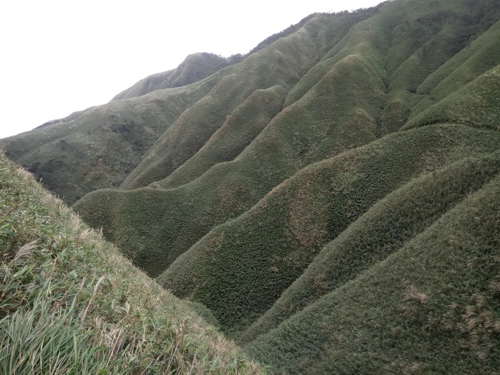 DSC_2811.JPG - 礁溪  聖母登山步道  (抹茶山)