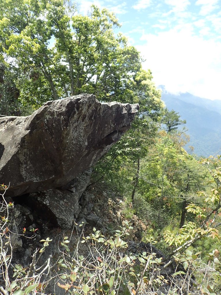 P5012355.JPG - 谷關七雄之  波津加山