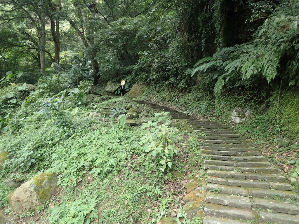 P1294444.JPG - 獅頭山  獅山古道  (01)