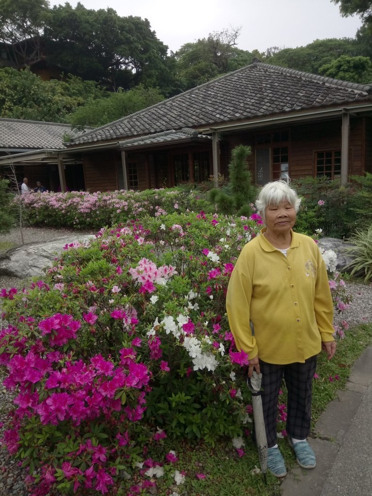 DSC_9214.JPG - 花博公園  蜀葵花季