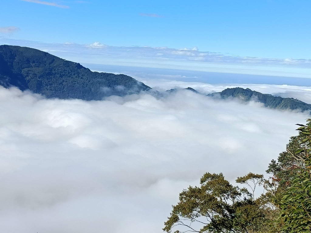 IMG20201205092402.jpg - 鹿谷  溪頭  南鳳凰山