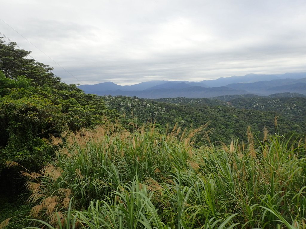 P4272144.JPG - 芎林  飛鳳山  (中坑山)