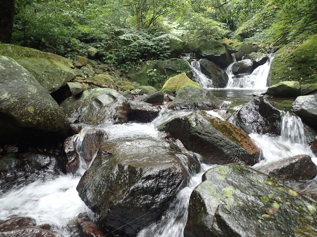 P6114300.JPG - 三芝  大屯溪古道