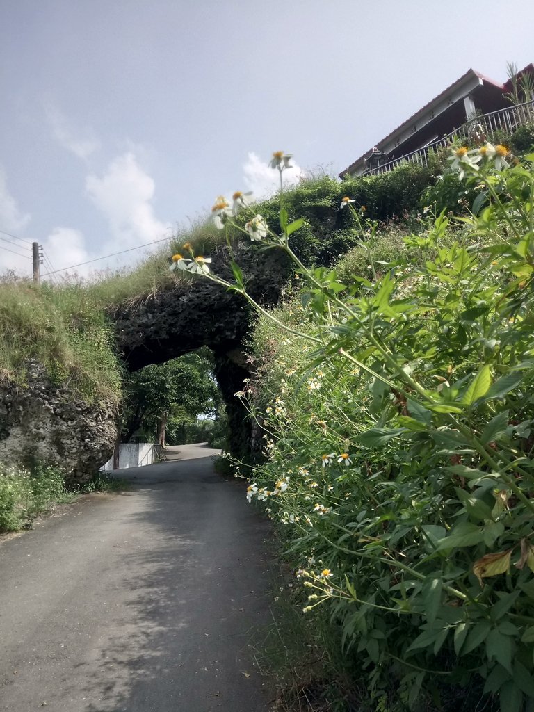 DSC_2102.JPG - 岡山  大崗山  超峰寺