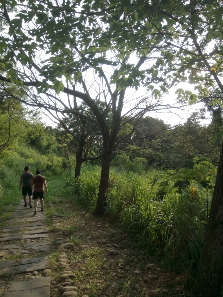 DSC_5817.JPG - 龍井  竹坑南寮登山步道