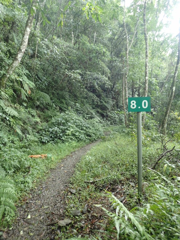 PA110726.JPG - 烏來  內洞林道