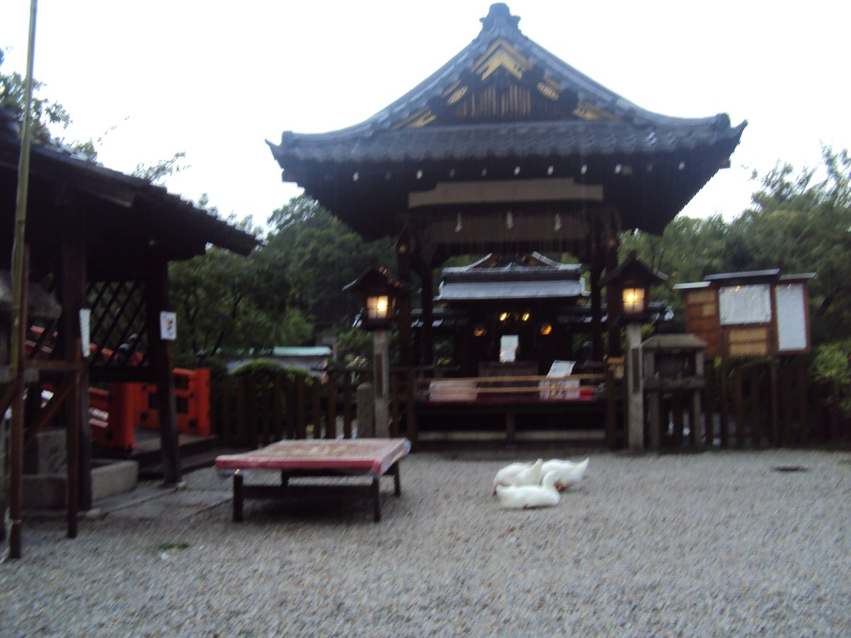 DSC02621.JPG - 京都  神泉苑