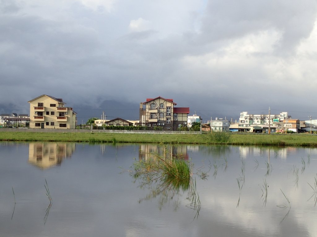 PA104185.JPG - 壯圍  竹安  水田雲影