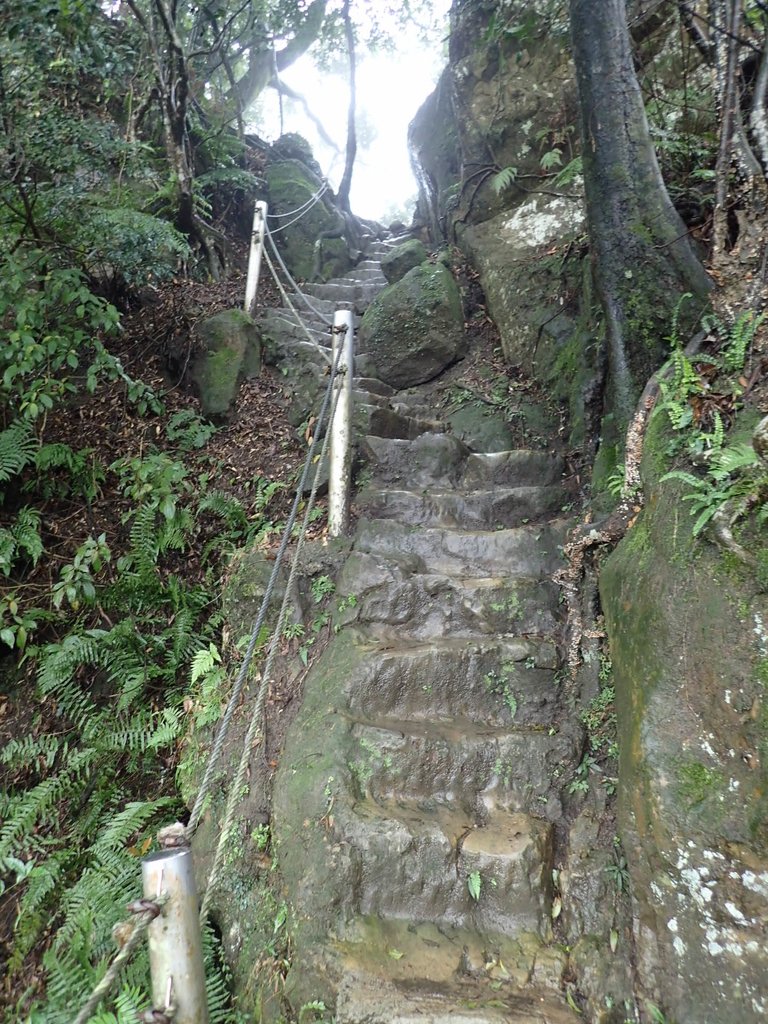 P1062049.JPG - 土城  天上山  登山步道