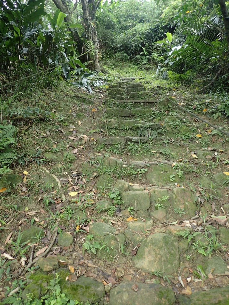 P4143543.JPG - 基隆  五坑山  總督嶺步道